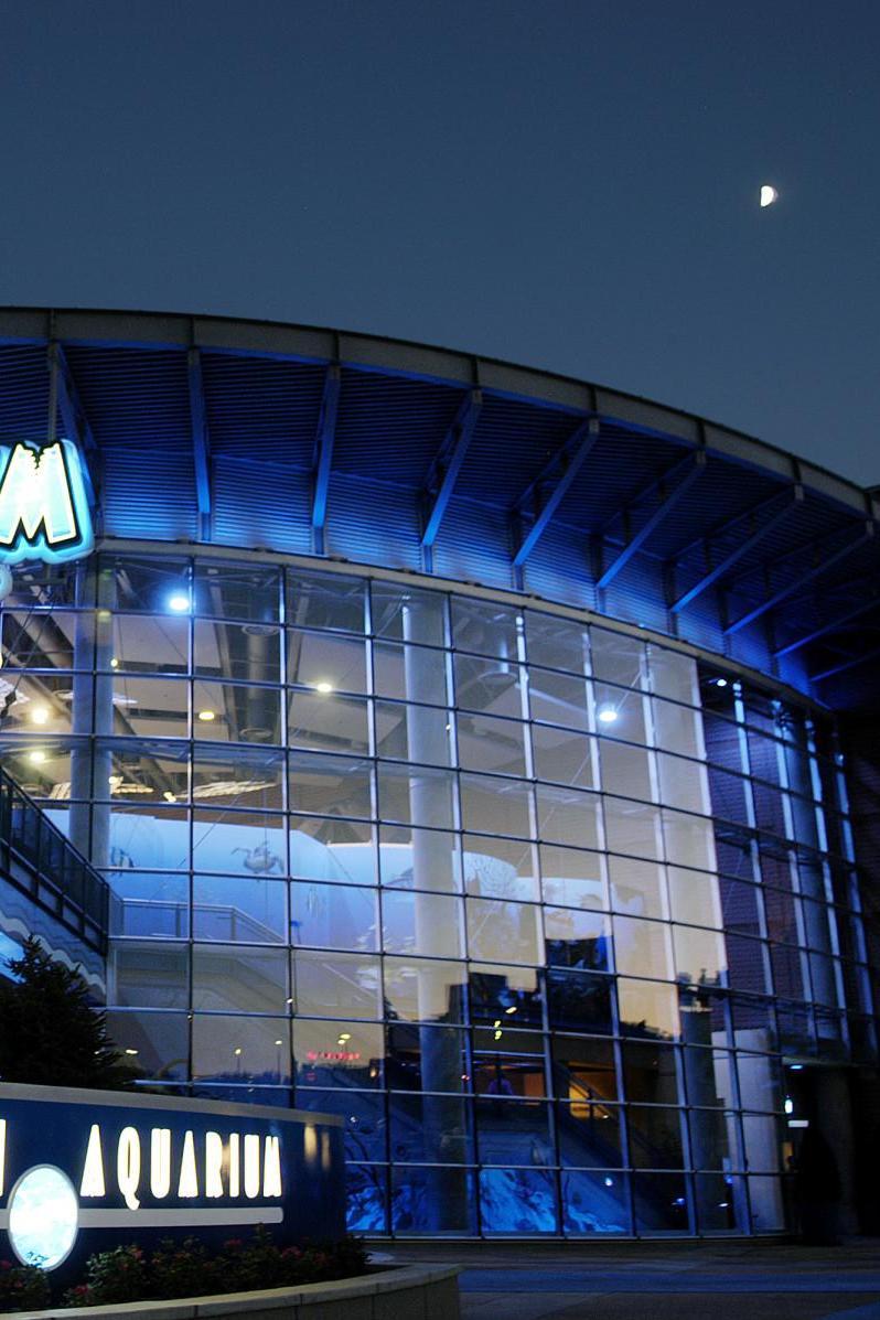 Downtown Aquarium